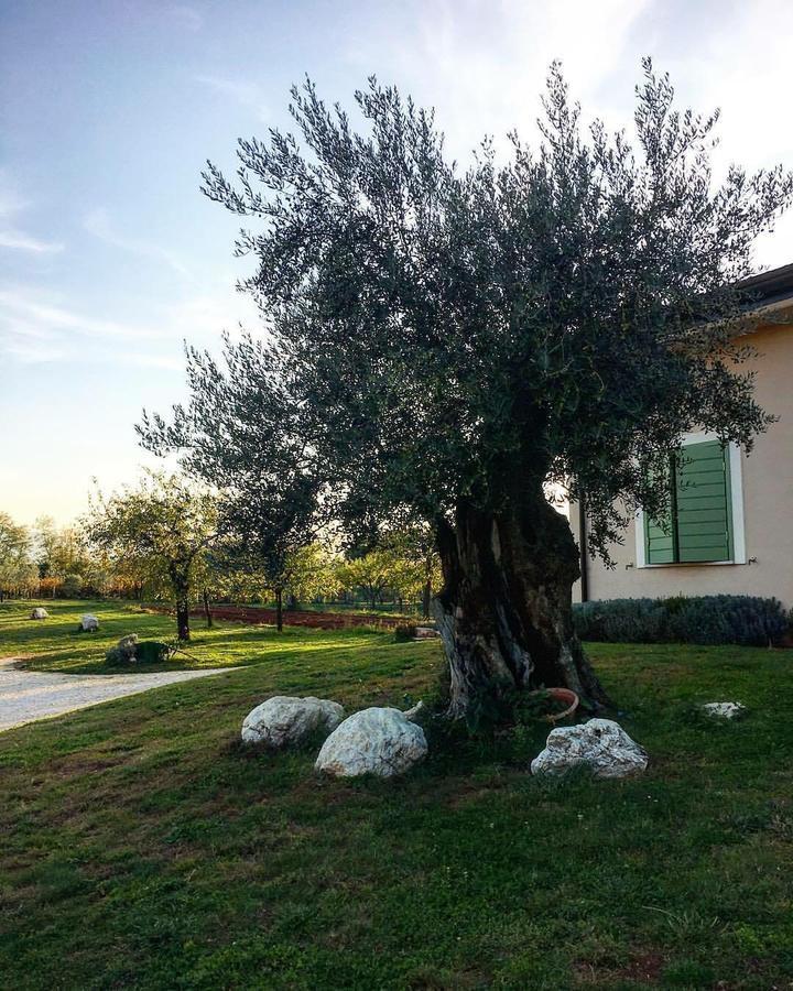 Agriturismo di Charme erbadoro Alvito Exterior foto